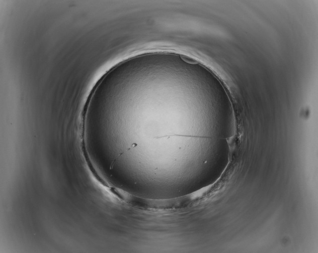 X0000100471527200806131116