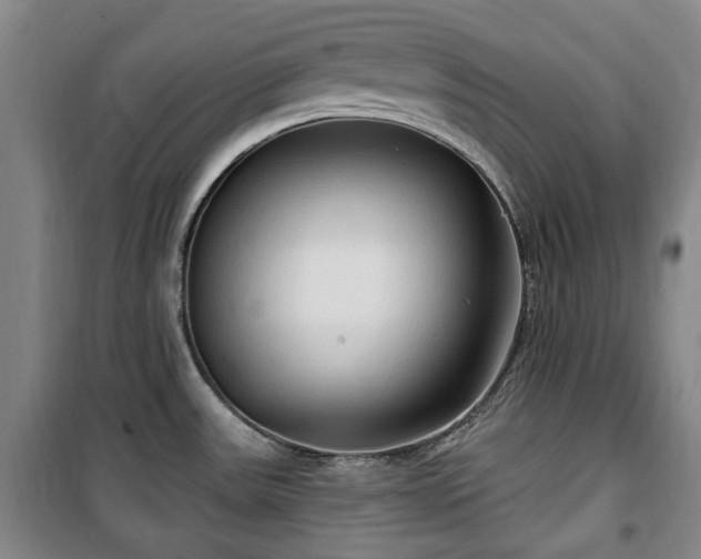 X0000100471531200806131116