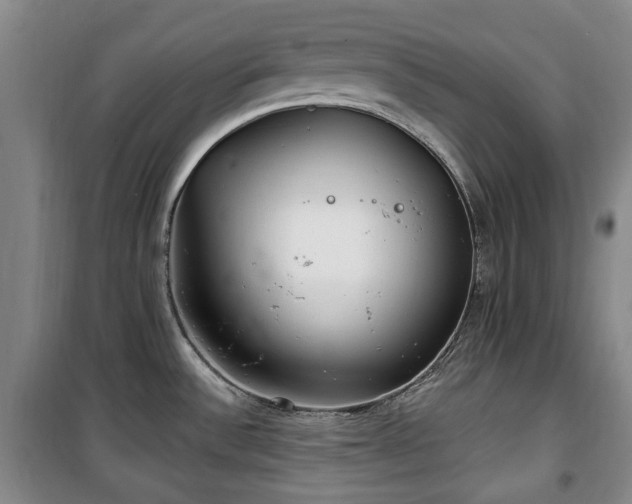 X0000100471532200806131116