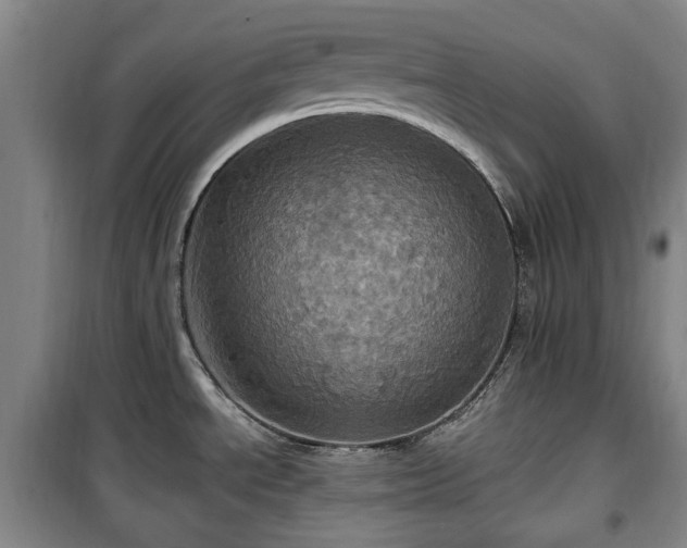 X0000100471534200806131116
