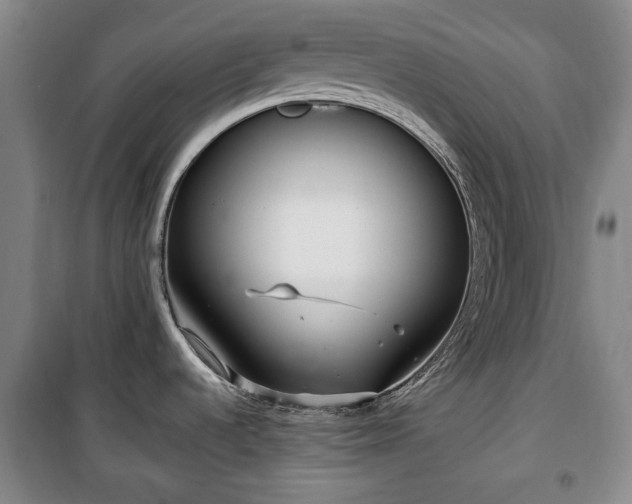 X0000100471536200806131116