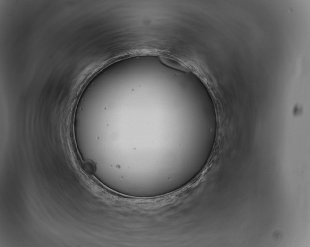 X0000100470001200806201617