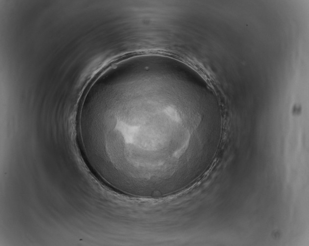 X0000100470002200806201617