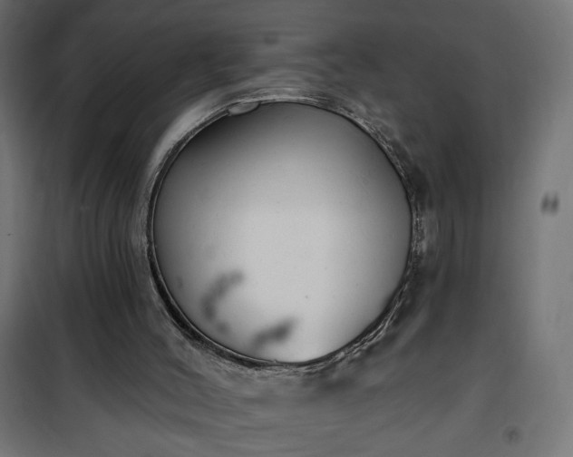 X0000100470004200806201617