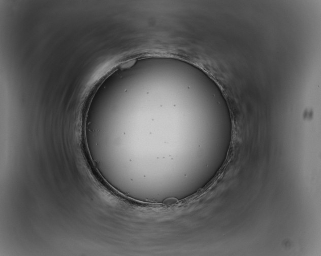 X0000100470005200806201617