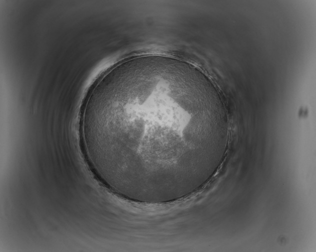 X0000100470006200806201617