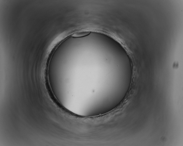 X0000100470007200806201617