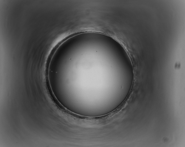 X0000100470008200806201617