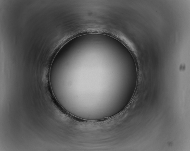 X0000100470009200806201617