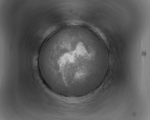 X0000100470010200806201617