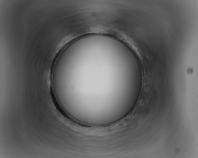 X0000100470011200806201617