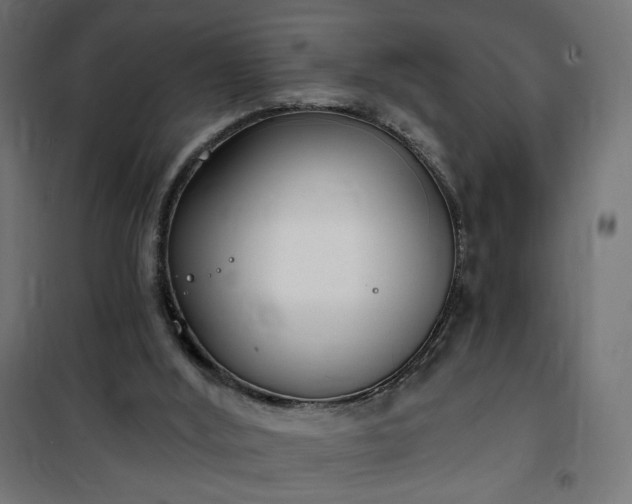 X0000100470012200806201617