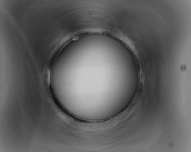 X0000100470013200806201617