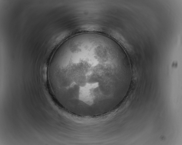 X0000100470014200806201617