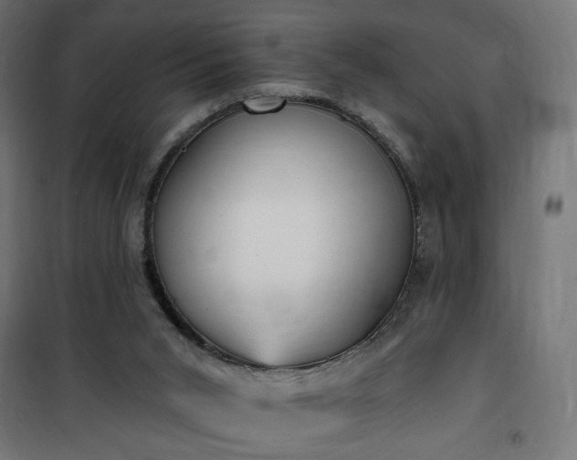 X0000100470015200806201617