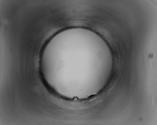 X0000100470016200806201617