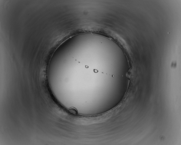 X0000100470017200806201617