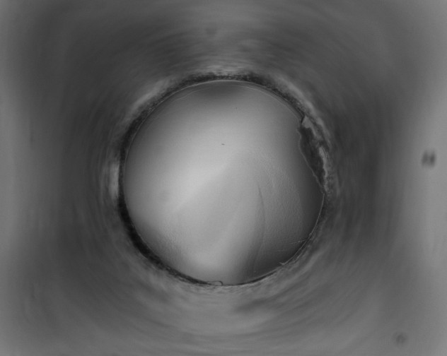 X0000100470019200806201617