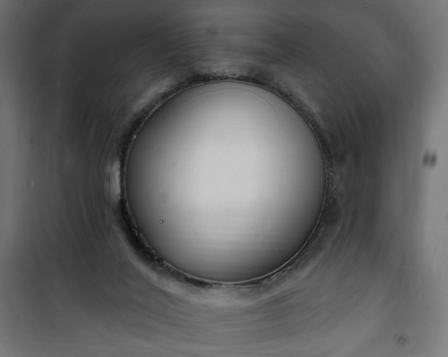 X0000100470020200806201617