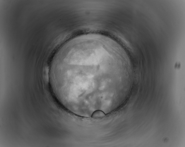 X0000100470022200806201617