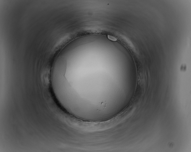 X0000100470023200806201616