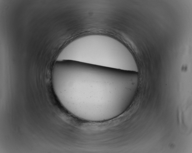 X0000100470025200806201616