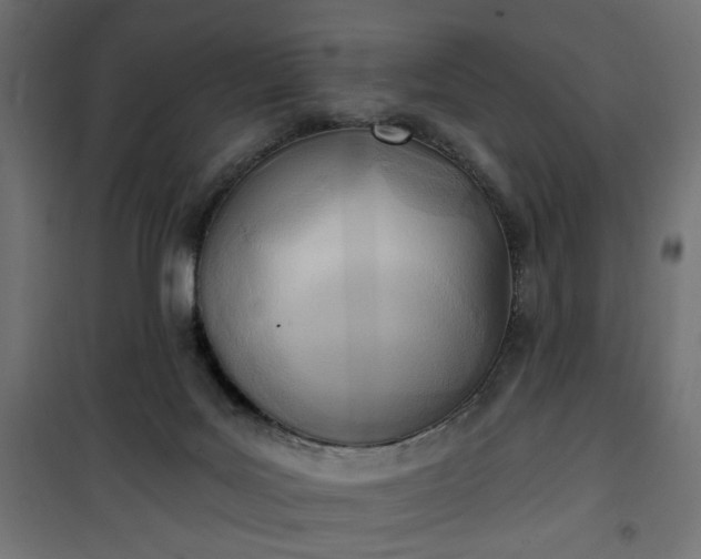 X0000100470027200806201616