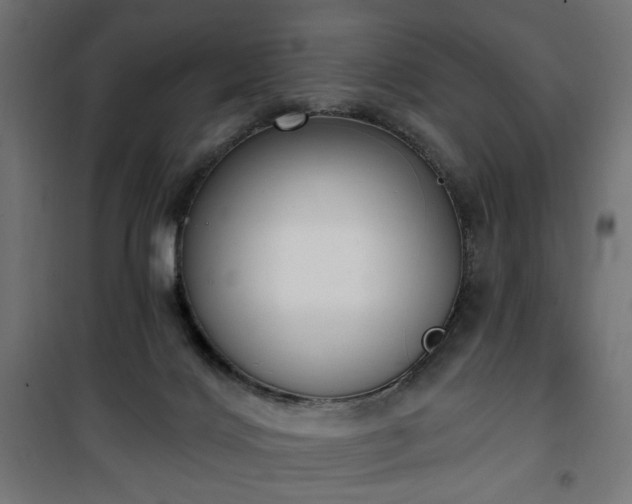 X0000100470028200806201616