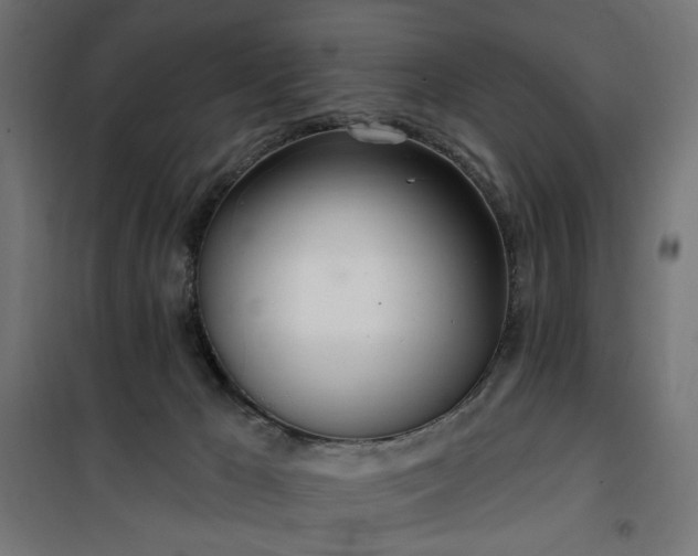 X0000100470029200806201616