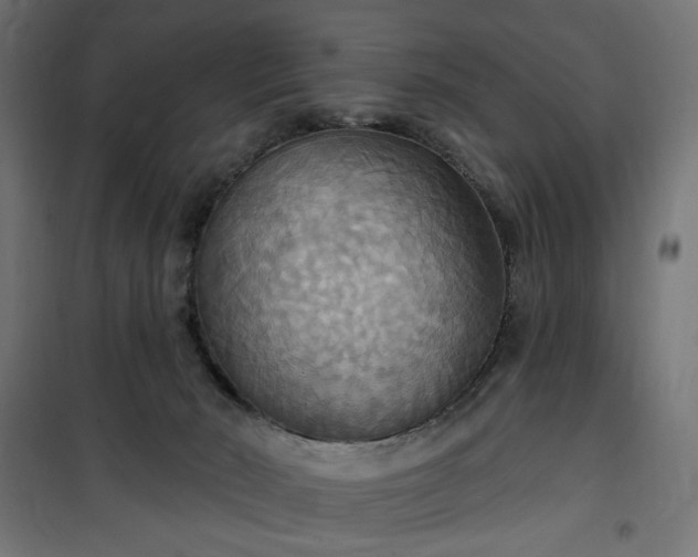 X0000100470030200806201616