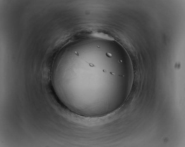 X0000100470031200806201616