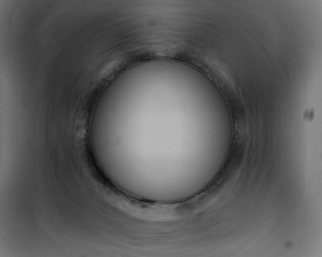 X0000100470032200806201616