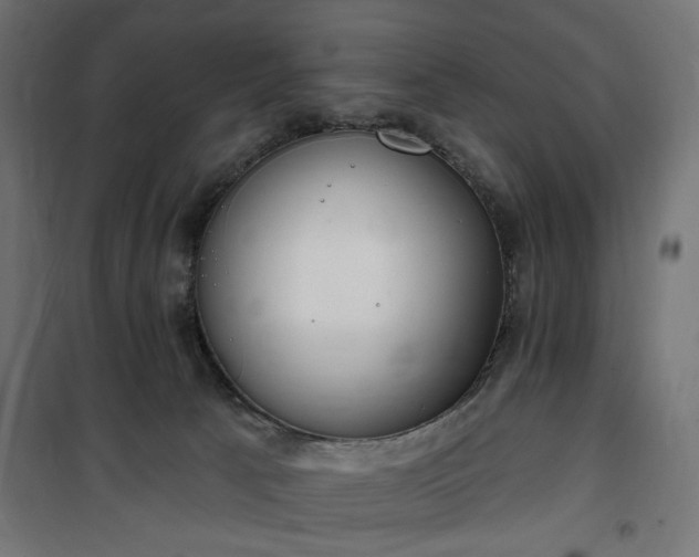 X0000100470033200806201616