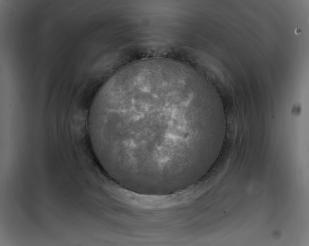 X0000100470034200806201616