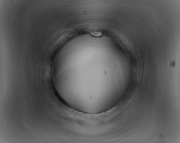 X0000100470035200806201616