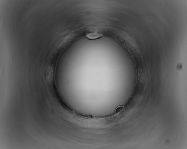 X0000100470036200806201616