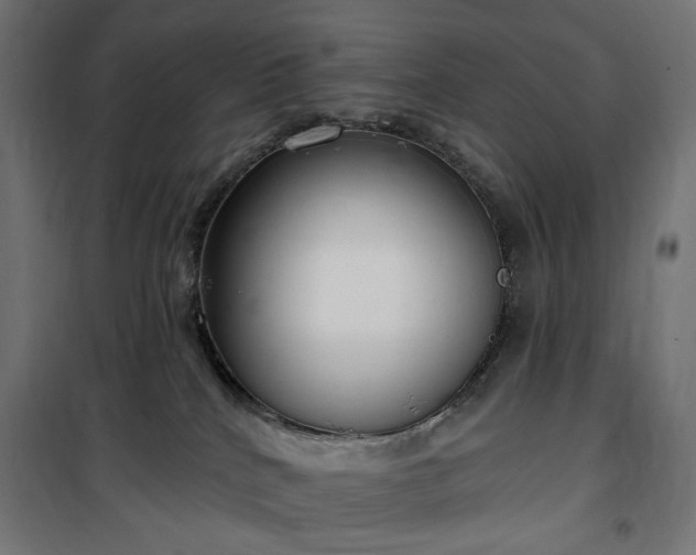 X0000100470040200806201616