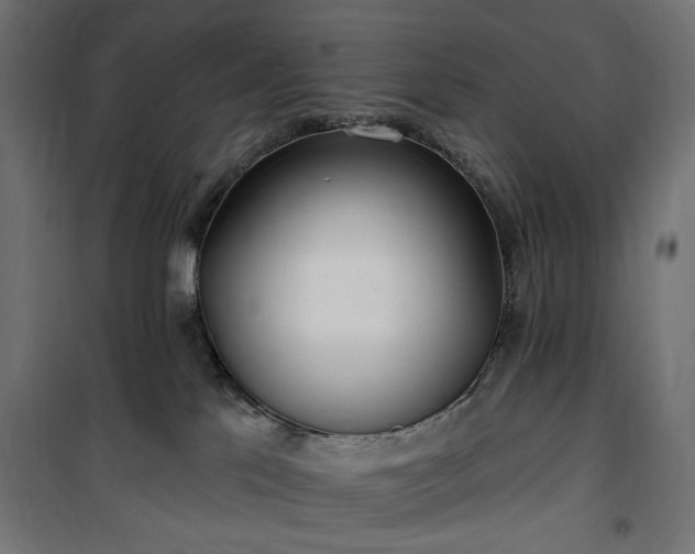 X0000100470041200806201616