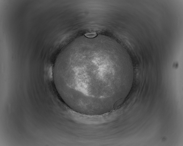 X0000100470042200806201616