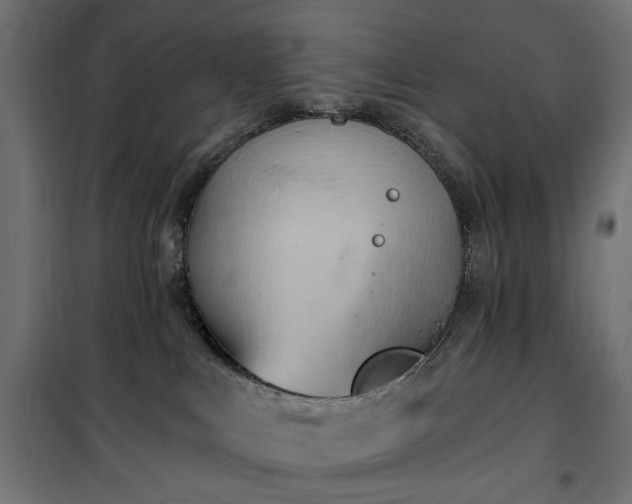 X0000100470043200806201616