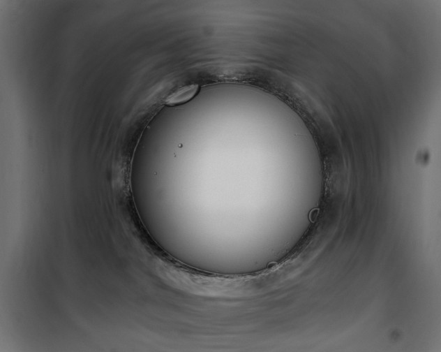 X0000100470044200806201616