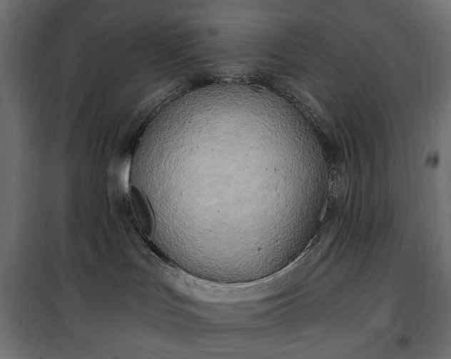 X0000100470047200806201616