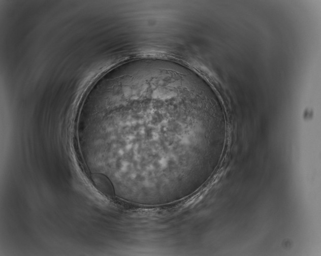 X0000100470049200806201615