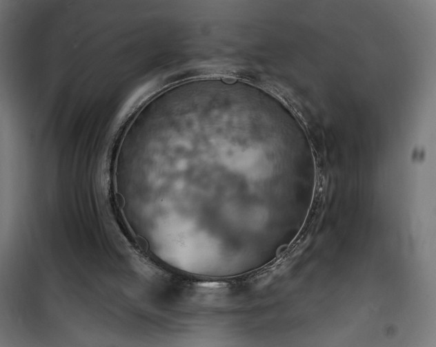 X0000100470053200806201615