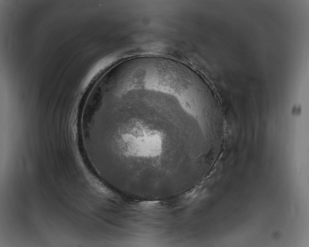 X0000100470054200806201615