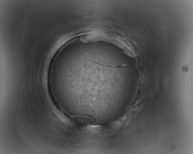 X0000100470055200806201615