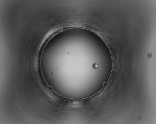 X0000100470056200806201615