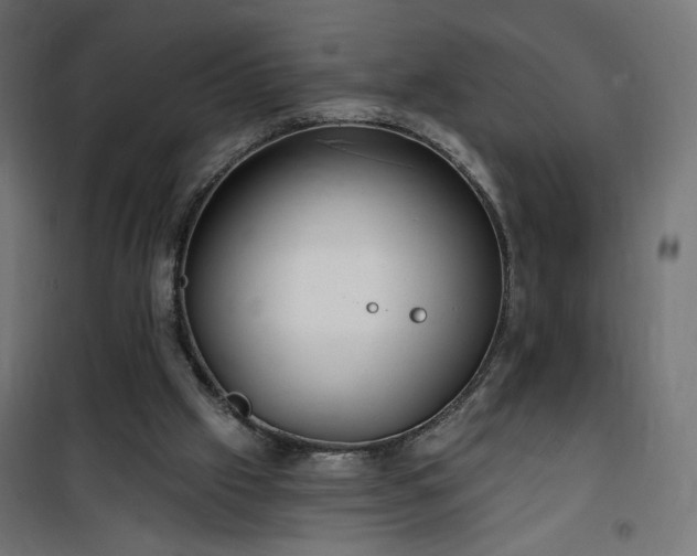 X0000100470057200806201615