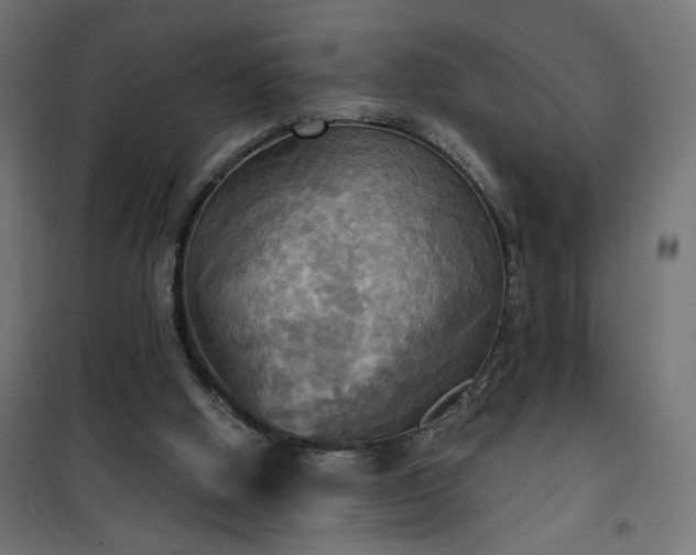 X0000100470058200806201615