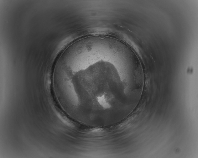 X0000100470059200806201616